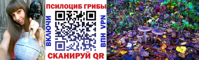 Псилоцибиновые грибы мицелий  Купить  Грязовец 