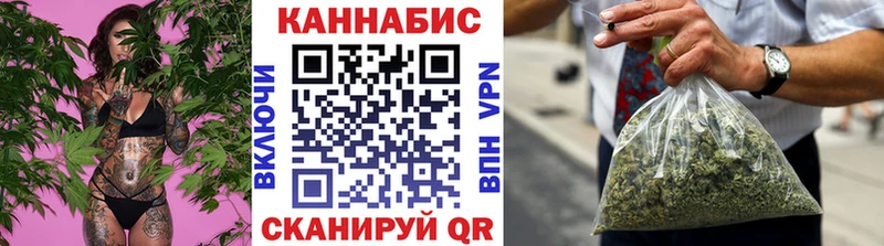 Купить где  Грязовец  Канабис план 